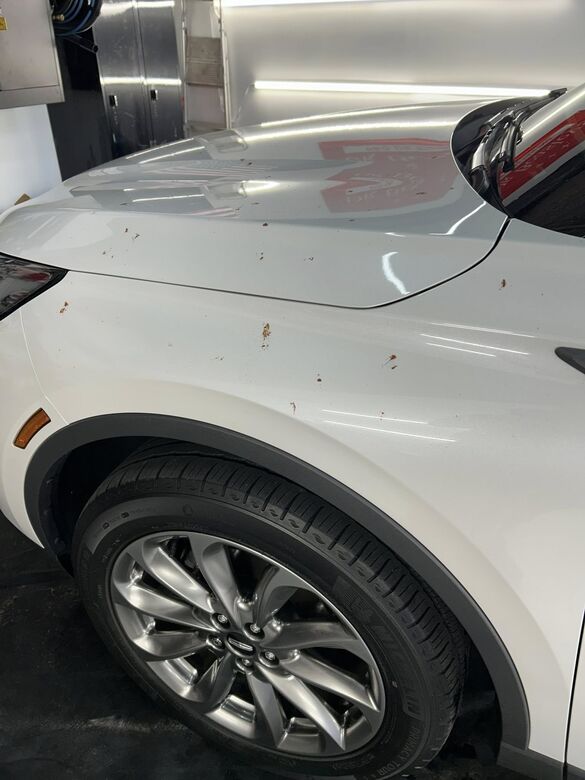 Auto detailing work by OG Detailing in Huntley, IL (sample 30)